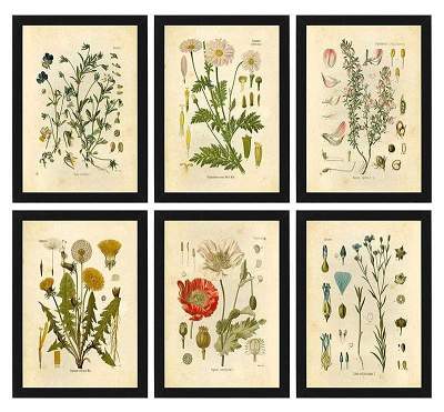Wild Flowers Wall Art by Veasoon
