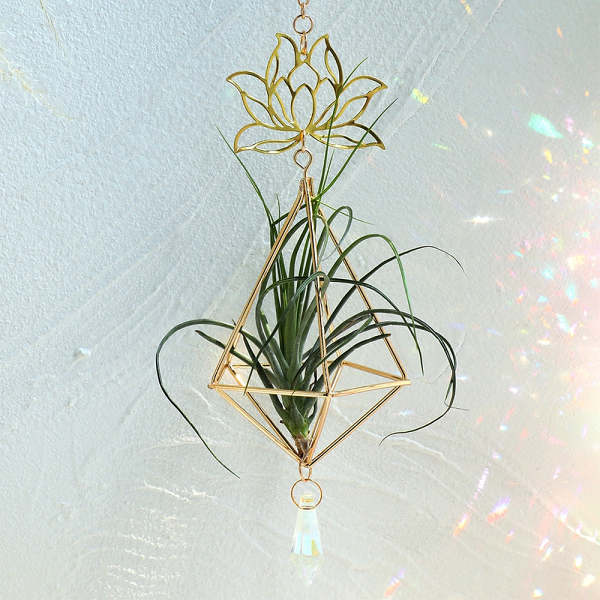 Lotus Plant Hanger Suncatcher by Veasoon