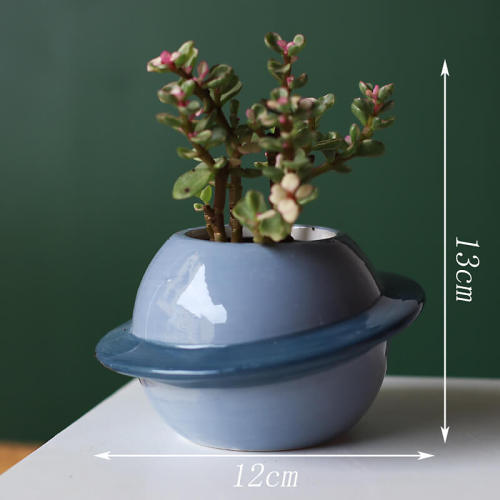Planet Vase Decoration