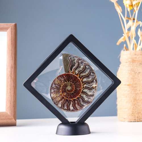 Ammonite Fossil Crystal Ornament by Veasoon