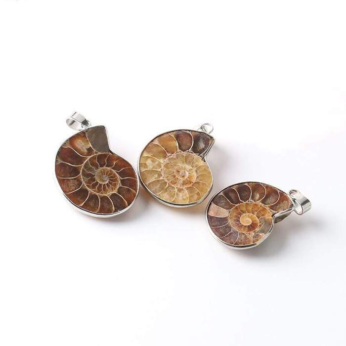 Natural Ammonite Snail Shell Necklace