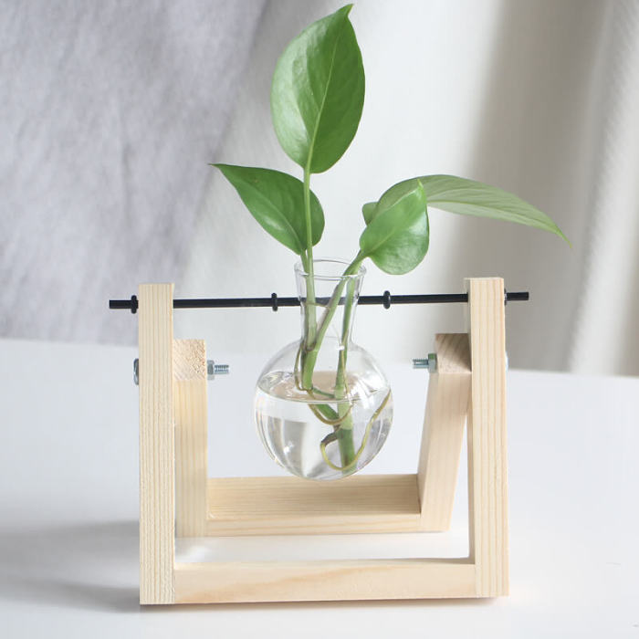 Hydroponic Plant Glass Vase