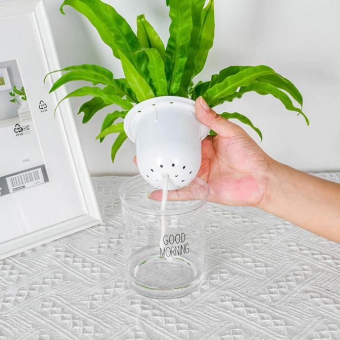 Hydroponic Lazy Self-Watering Flowerpot by Veasoon