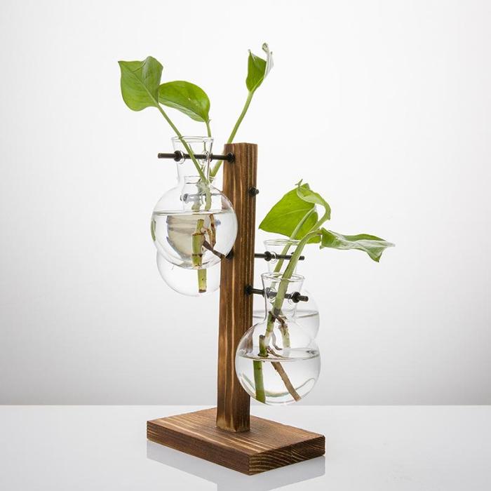 Terrarium Bulb Vase by Veasoon