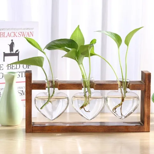 Heart Shaped Glass Bulbs Pot by Veasoon