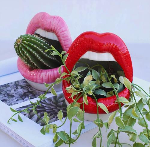 Lips Ceramic Planter Pot by Veasoon