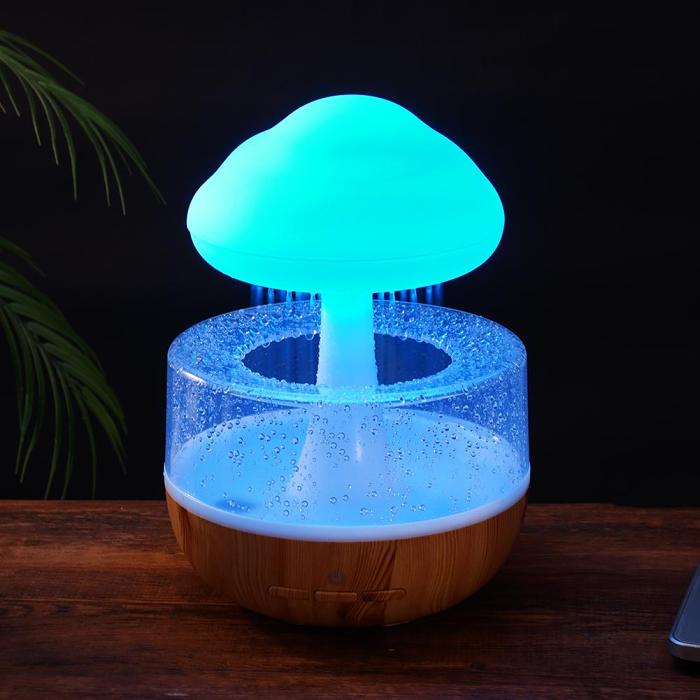 Rainy Cloud Humidifier by Veasoon