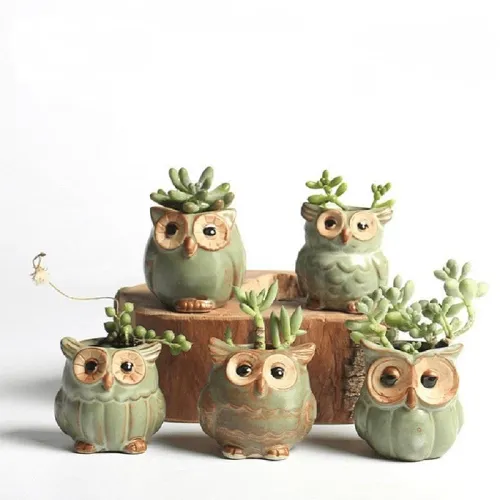 Owl Ceramic Flower Pot Set 5pcs by Veasoon