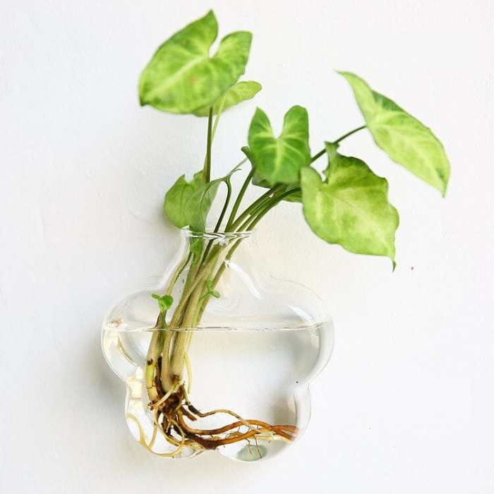 Hydroponic Wall Mounted Vases by Veasoon