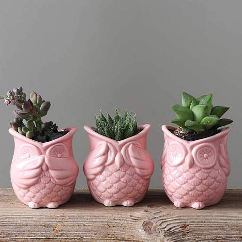 Peek-a-Boo Owl Pots by Veasoon