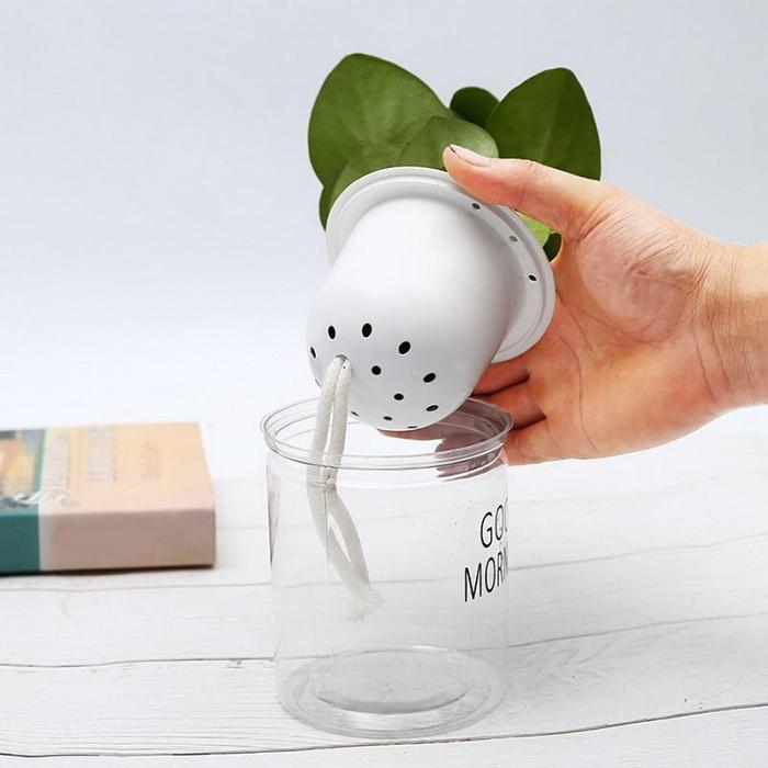 Hydroponic Lazy Self-Watering Flowerpot by Veasoon