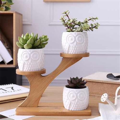 Owl Ceramic 3 tier Bamboo Set by Veasoon
