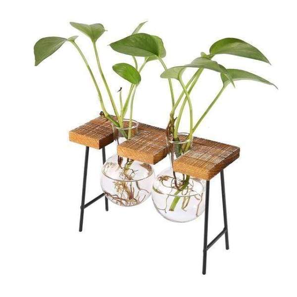 Vintage Water Propagation Station by Veasoon