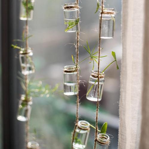 String Hanging Propagation Bottles by Veasoon