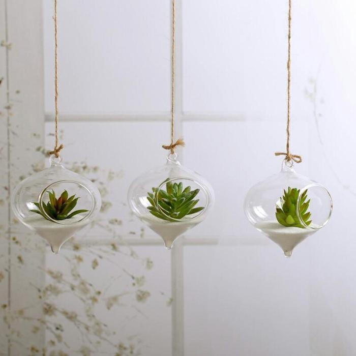 Glass Hanging Terrarium by Veasoon