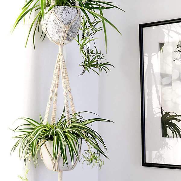 Macrame Plant Hangers Bundle by Veasoon