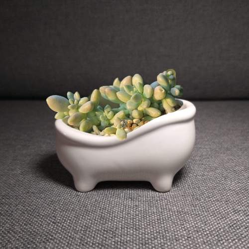 Bathtub Plant Pot by Veasoon