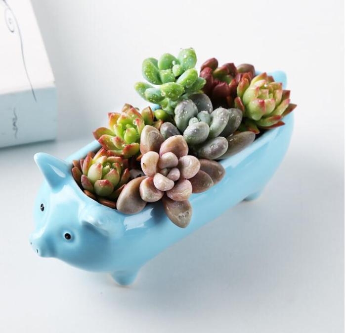 Animal Shaped Mini Pots by Veasoon