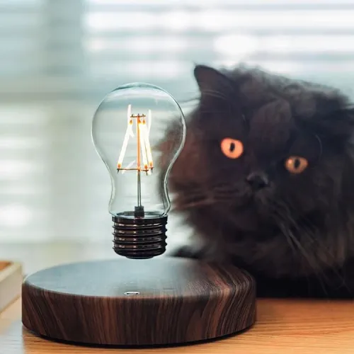 Floating Light Bulb Lamp by Veasoon
