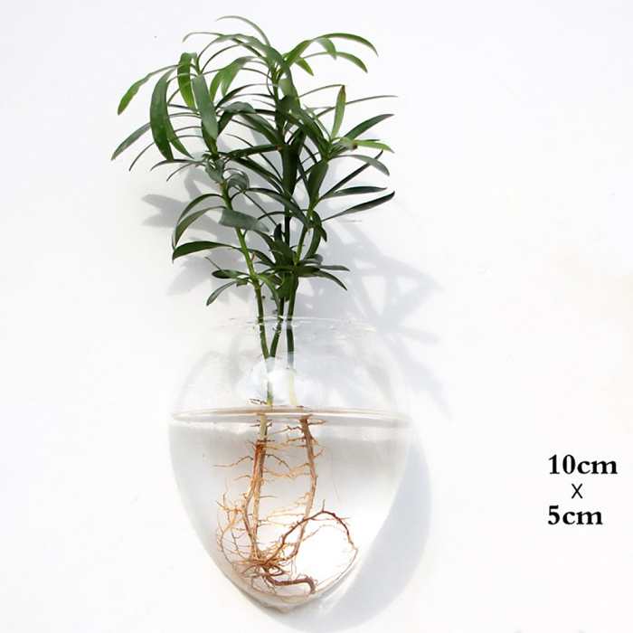 Hydroponic Wall Mounted Vases by Veasoon