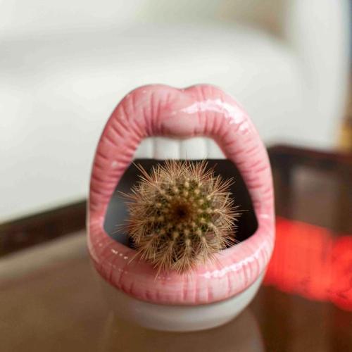 Lips Ceramic Planter Pot by Veasoon