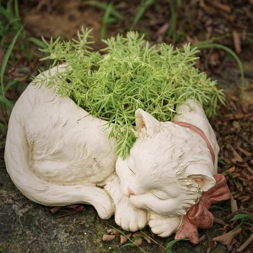Sleeping Cat Flower Pot by Veasoon