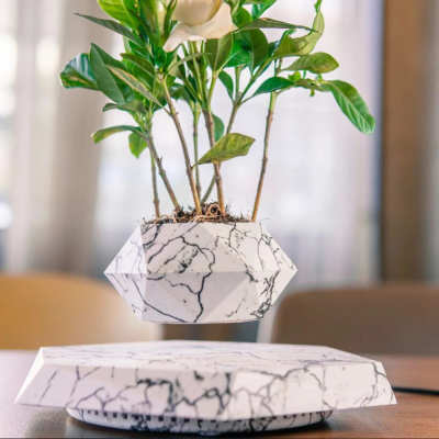Skybotanic Levitating Plant Pot by Veasoon