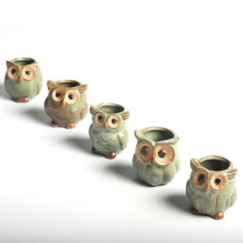 Owl Ceramic Flower Pot Set 5pcs by Veasoon