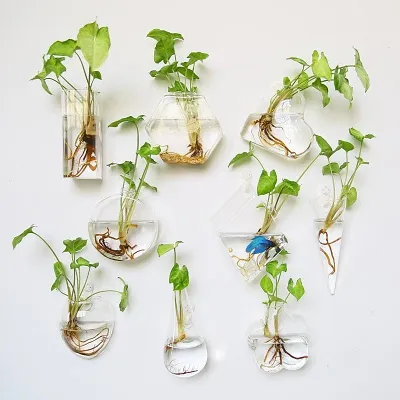 Hydroponic Wall Mounted Vases by Veasoon