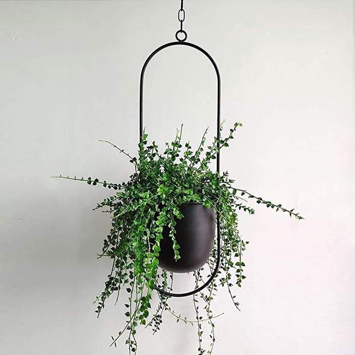 Metal Hanging Plant Pot by Veasoon