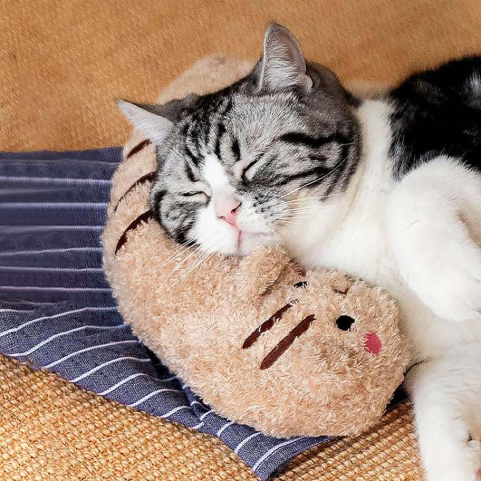 Cat Lovely Cozy Pillow