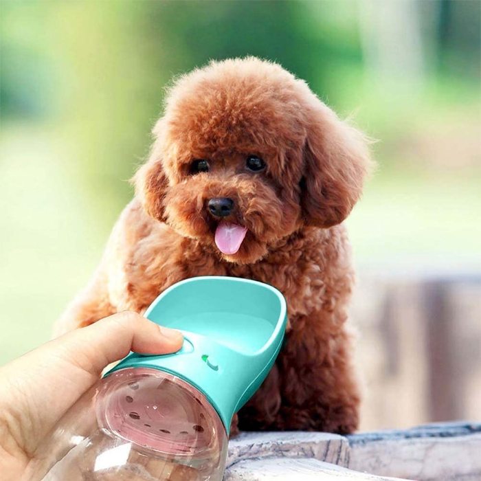 Portable Pet Dog Water Bottle