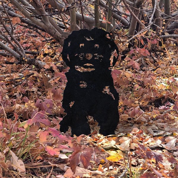 Havanese Metal Dog Silhouette