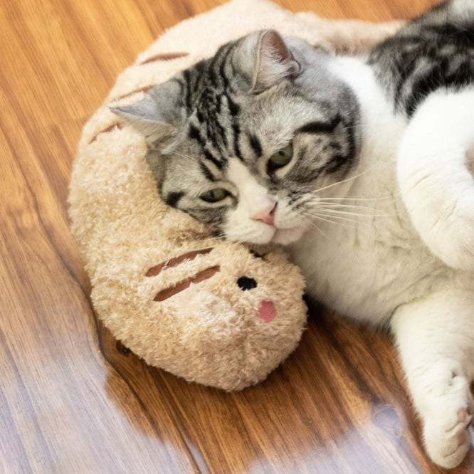 Cat Lovely Cozy Pillow