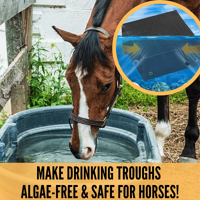 Water Trough Purifier Cube--BUY MORE SAVE MORE