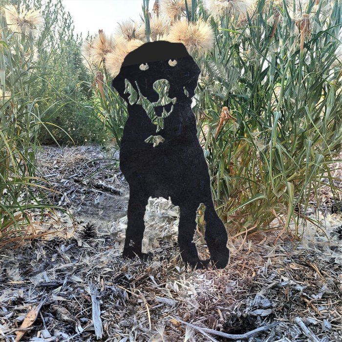 Chesapeake Bay Retriever Metal Silhouette