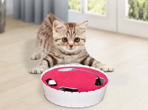 Interactive Cat Toy with Running Mouse（FREE SHIPPING）