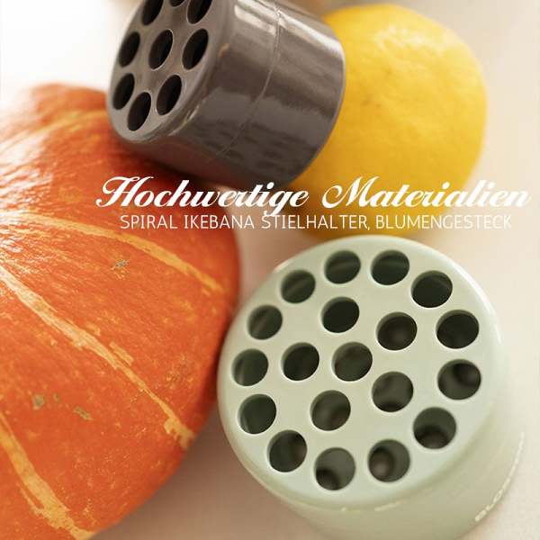 49% OFFSpiral Ikebana Stem Holder