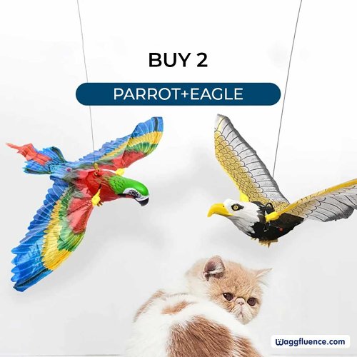 Bird Simulation Interactive Hanging Parrot/Eagle Flying Toy for Cats