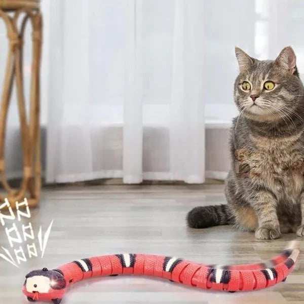 Funny Snake Toy