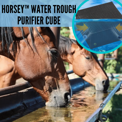 Water Trough Purifier Cube--BUY MORE SAVE MORE