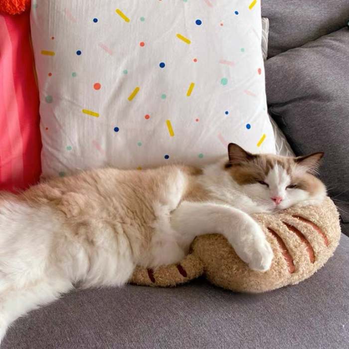 Cat Lovely Cozy Pillow