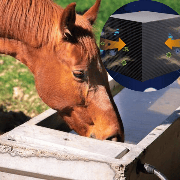 Water Trough Purifier Cube--BUY MORE SAVE MORE