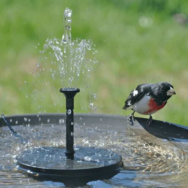 49% OFF-Solar-Powered Bird Fountain Kit