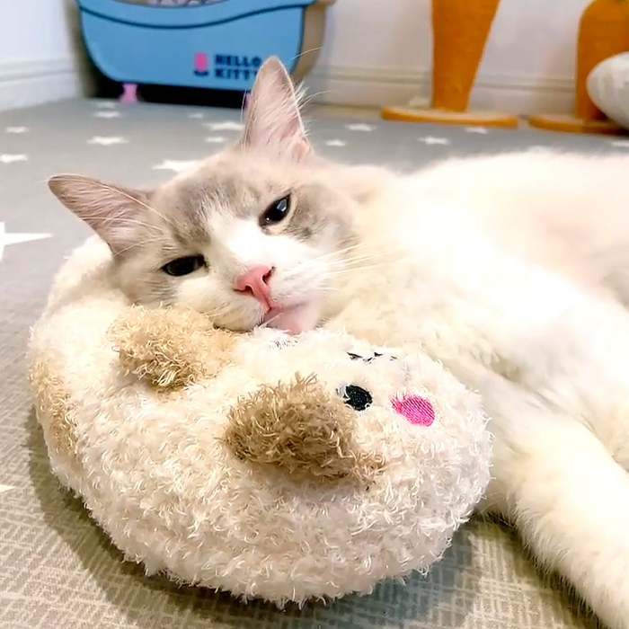 Cat Lovely Cozy Pillow