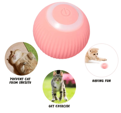 Smart Cat Toys Automatic Rolling Ball(BUY 2 GET FREE SHIPPING)