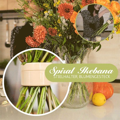 49% OFFSpiral Ikebana Stem Holder