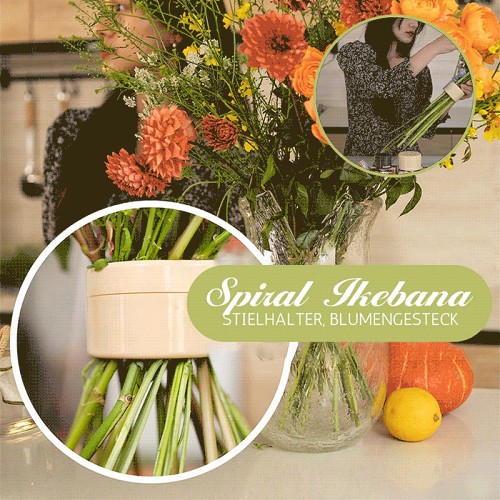 49% OFFSpiral Ikebana Stem Holder