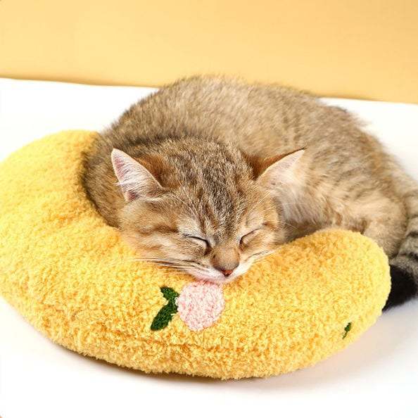 Cat Lovely Cozy Pillow