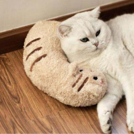 Cat Lovely Cozy Pillow